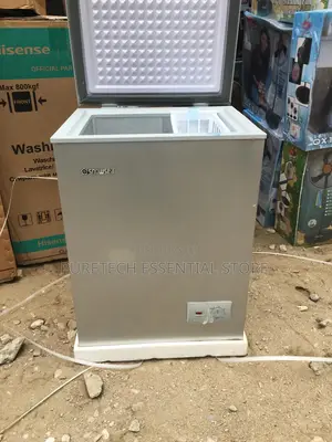Snowsea Mini Freezer 100liters 108BD