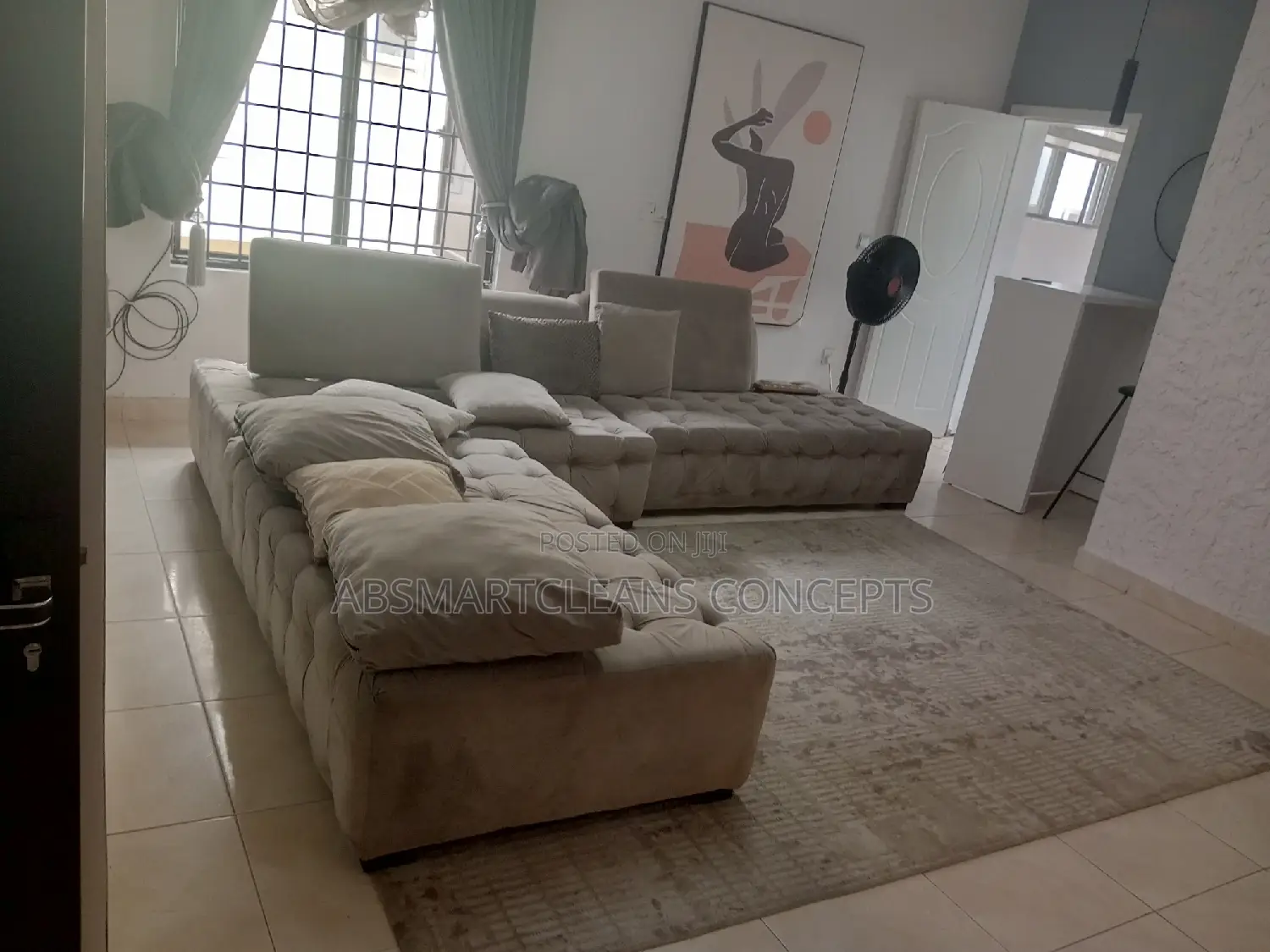 Bedframe, Couch and Rugs Cleaning