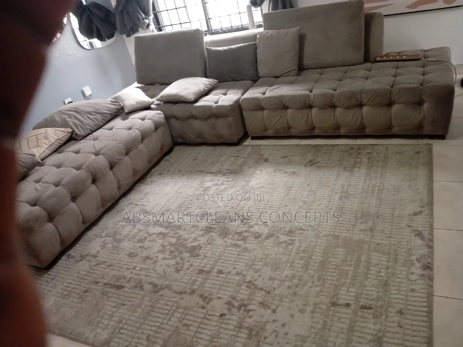 Bedframe, Couch and Rugs Cleaning