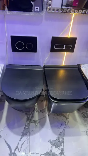 Wall Conceal Water Closet