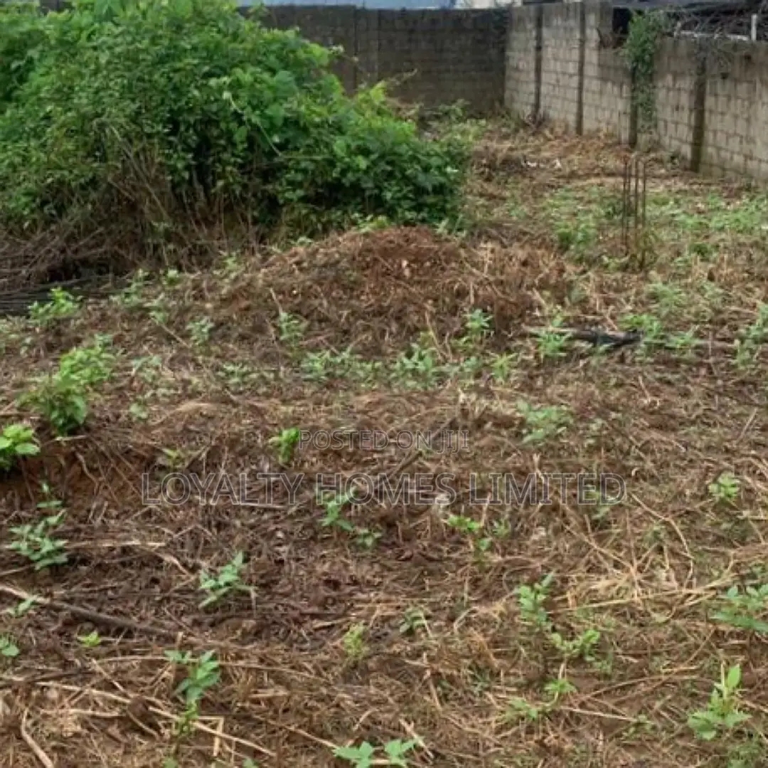 Bareland for Sale at Ogudu