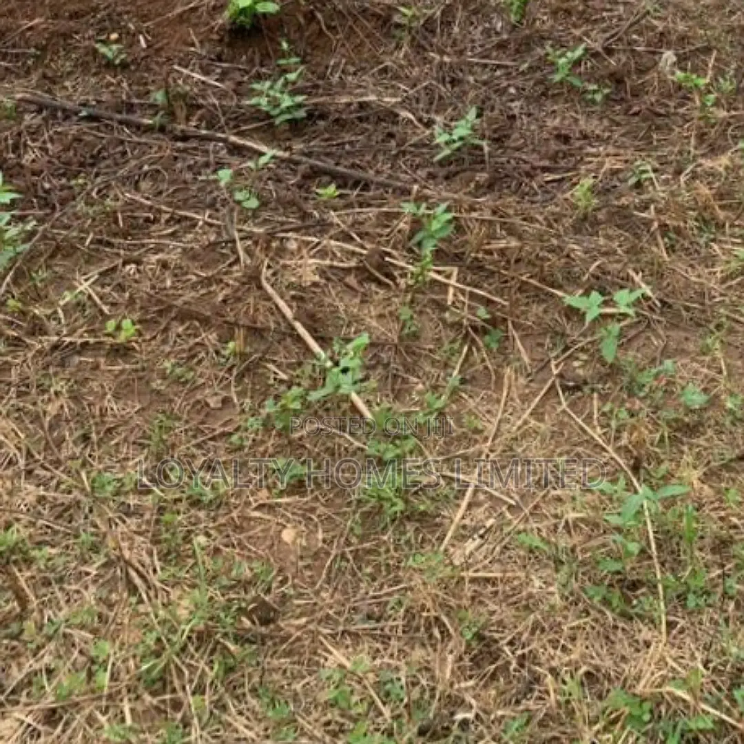 Bareland for Sale at Ogudu