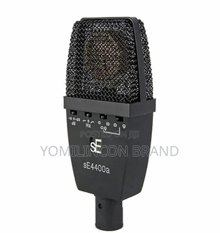 Se Electronics Se4400a Large-Diaphragm Condenser