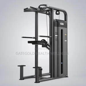 Dip Chin Assist (Dhz Brand) U2009c