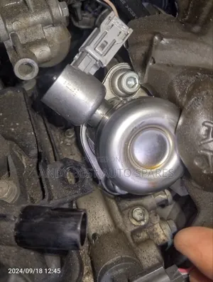 High Pressure Pump Nissan Juke Turbo,Qashqai 2013/2018