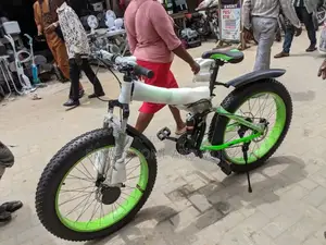 Adult Big Bicycle