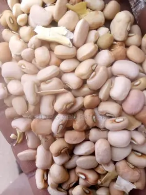 Photo - Potassco Beans