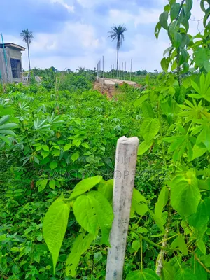 Photo - 2 Acres of Fertile Land Available for Rent in Imota Ikorodu