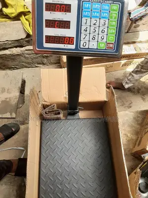 Electronic Platform Scale 300A