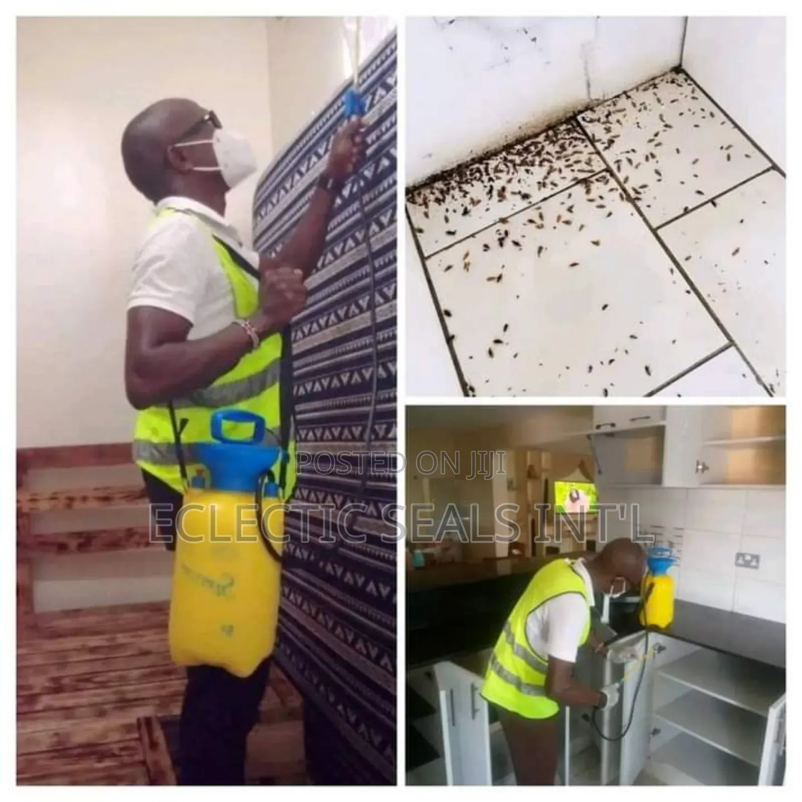 House Fumigation