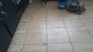 Pest Control Fumigation
