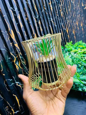 Beautiful Decor Available