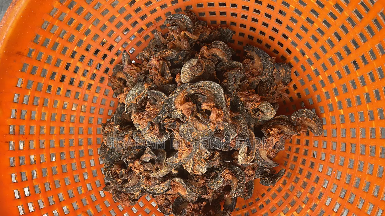 Grill Snail (Oven-Dried)