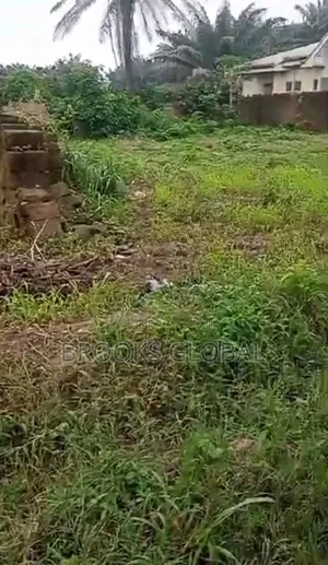 Land of 100/100 at Isiohor for Sale