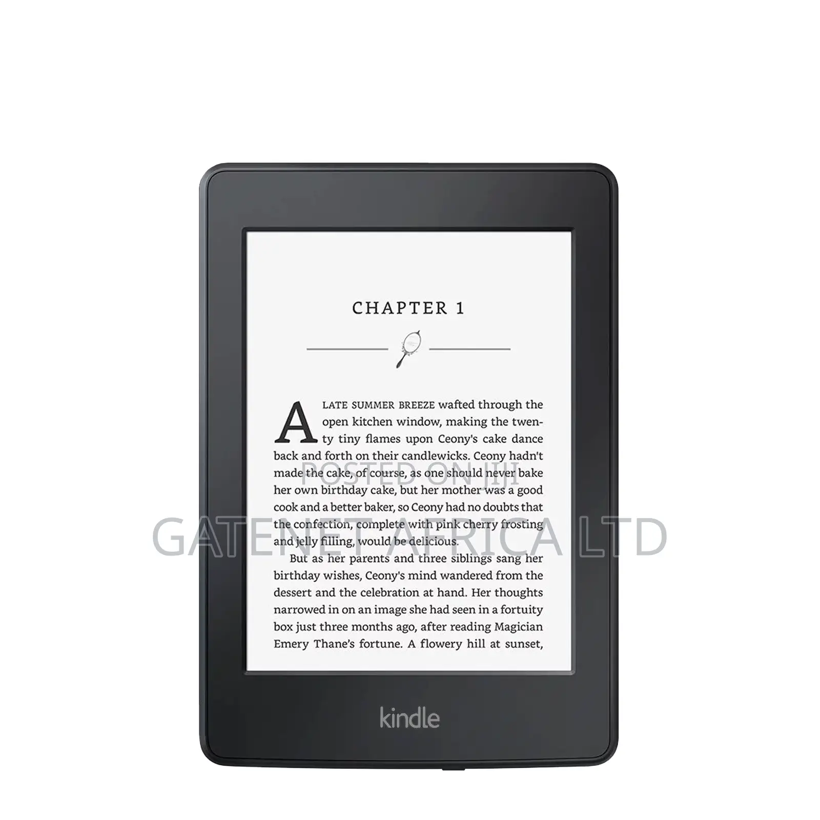 Amazon Kindle Paperwhite 4 GB Black
