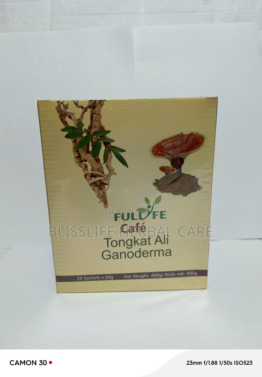 Thongkat Ali Ganoderma