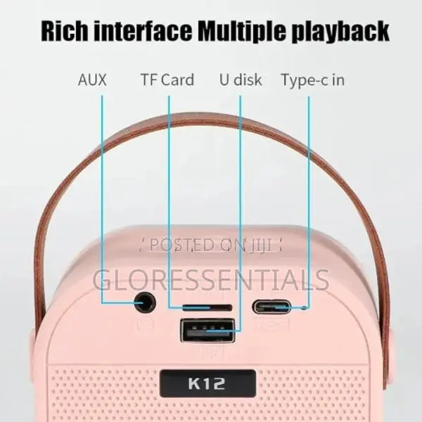 Wireless Karaoke Microphone With Speaker