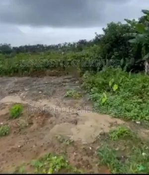 For Sale: 2 Plots of Land