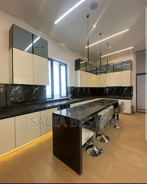 Kitchen Cabinet With Black Quartz