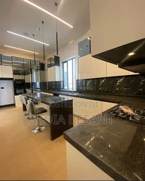 Kitchen Cabinet With Black Quartz