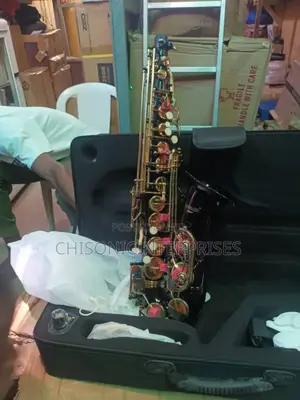 Standard Auto Saxophone Colored