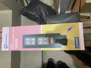 100W Solar Steel Light