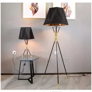 Morden Floor Lamp