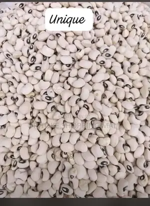 Rubber Paint of White Beans
