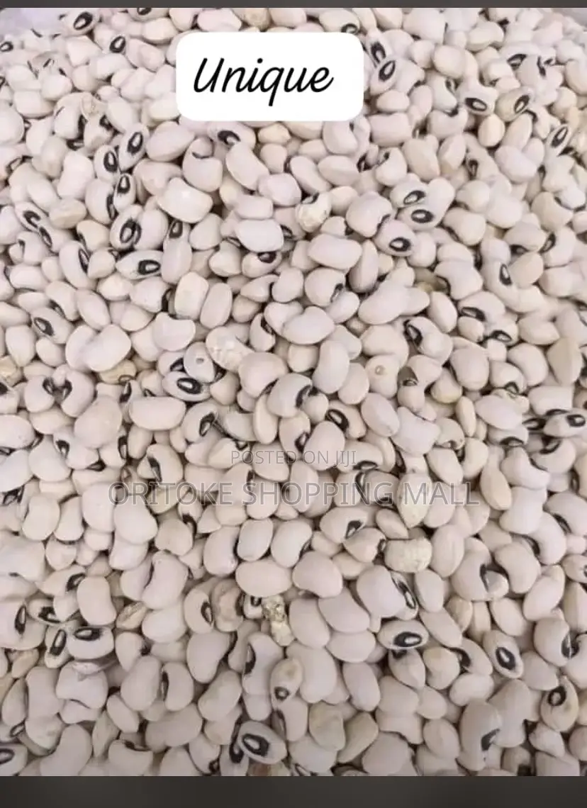 Rubber Paint of White Beans
