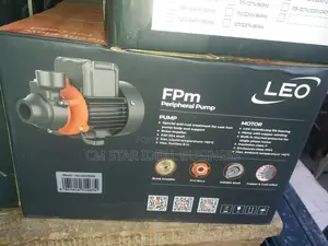 Leo 0.5hp Italian Suface Pump