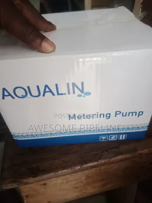 Chemical Dosing Pump Doing Pump