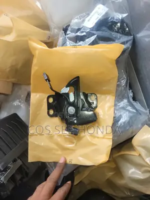 Bonnet Catcher 2018 Accord