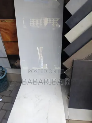 Toilet Wall and Floor