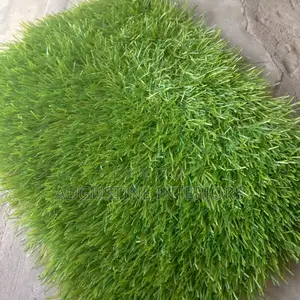 High Quality Turkish Grass Rug Carpet 45mm