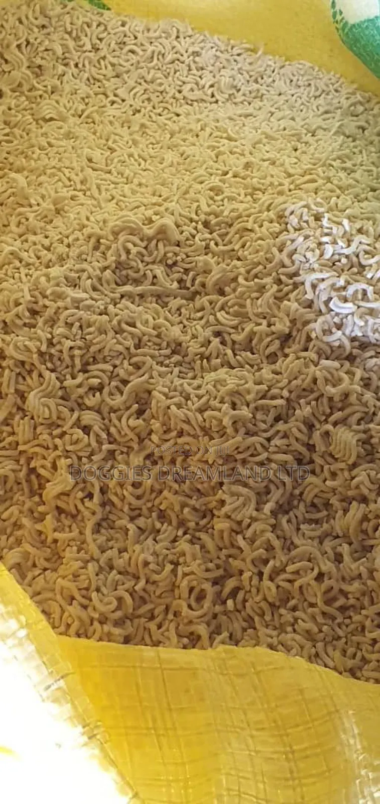 Dog Indomie