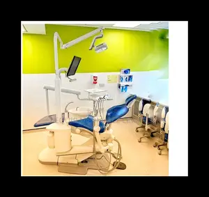 Complete Dental Chair With Whip Arm System