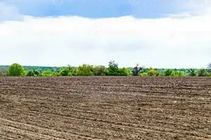 Prime 24.5 Hectares of Land for Sale!