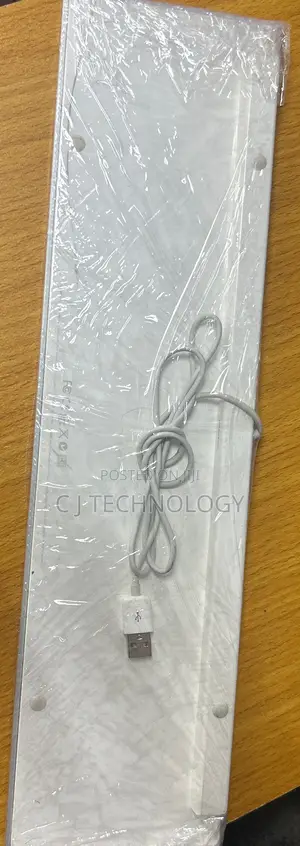 Apple Mouse