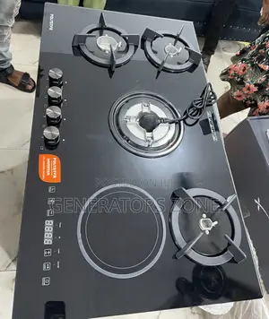 Polystar Inverter Cooker With Bs Plug {Pv-Ny4g1einv}