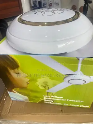 Solar DC Ceiling Fan