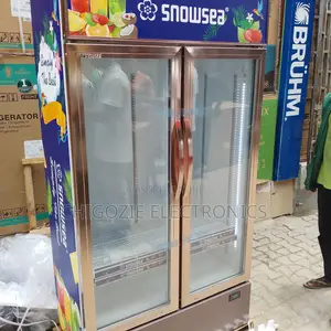 Chiller Refrigerator
