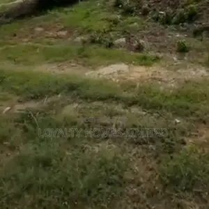 Dry Land Up for Sale at Omole Phase 2 Ikeja