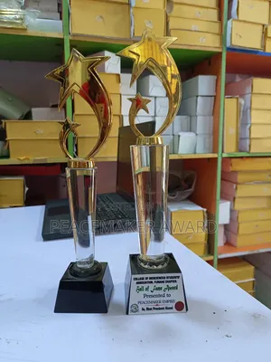 Photo - Trophy Crystal