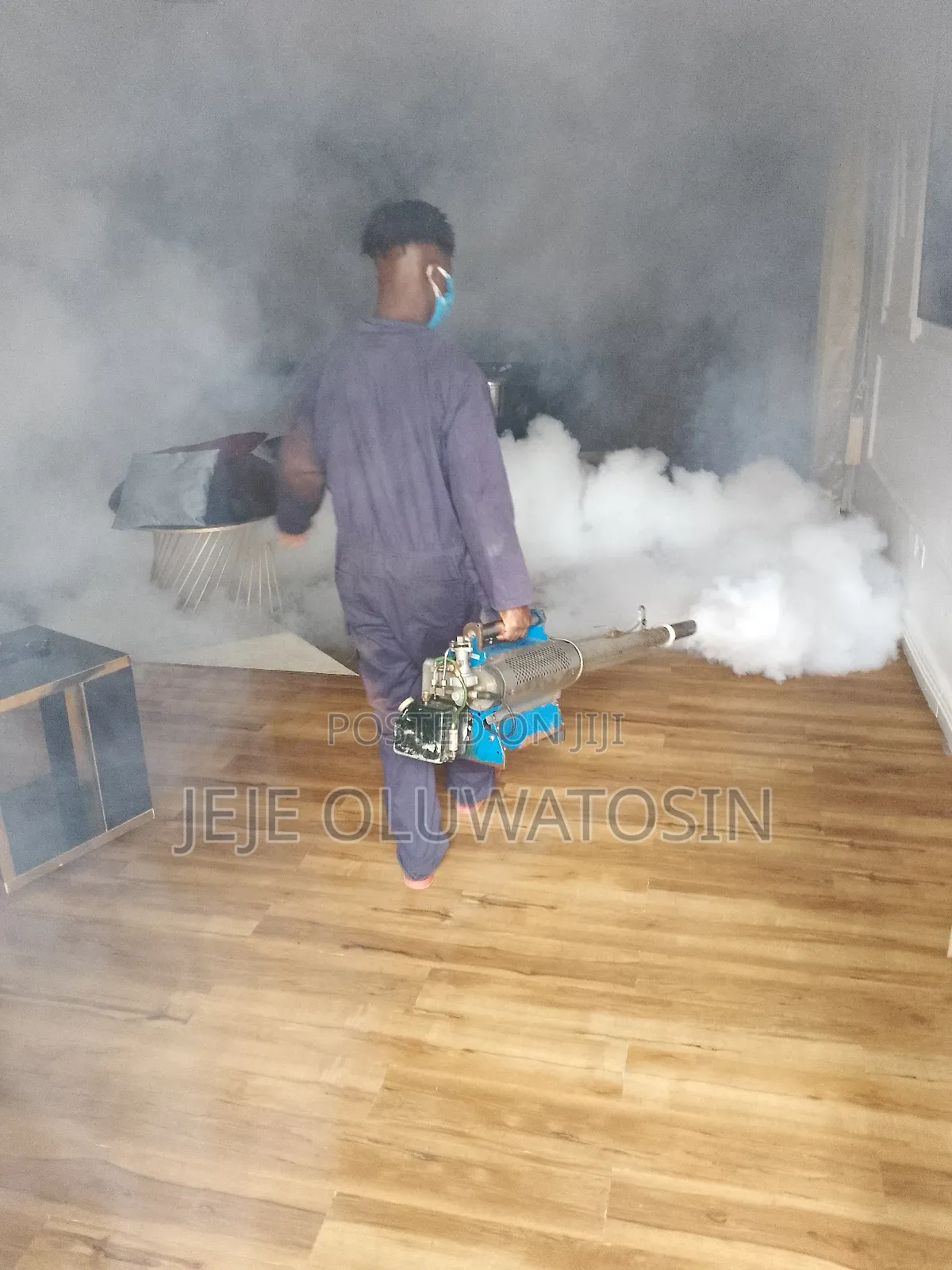 Professional Fumigation and Pest Control Services