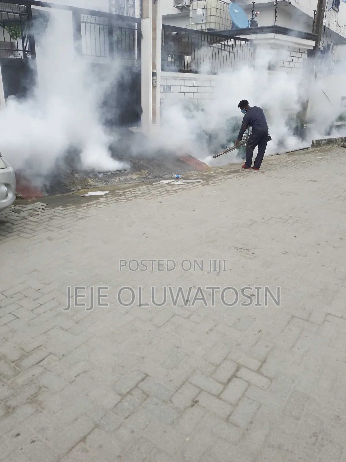 Professional Fumigation and Pest Control Services