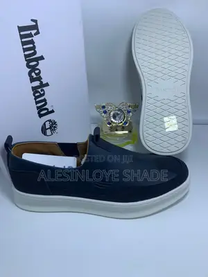 Men Shoe Aldo