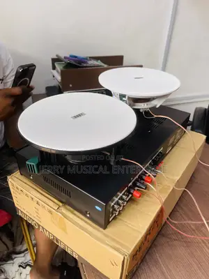 2in1 Ceiling Speakers With Amplifier for Bluetooth and Usb