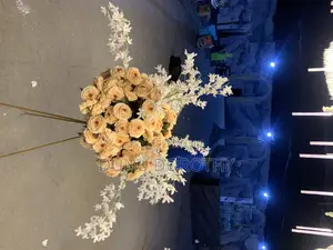 Event Planner/Decorator/Florist/Draper/