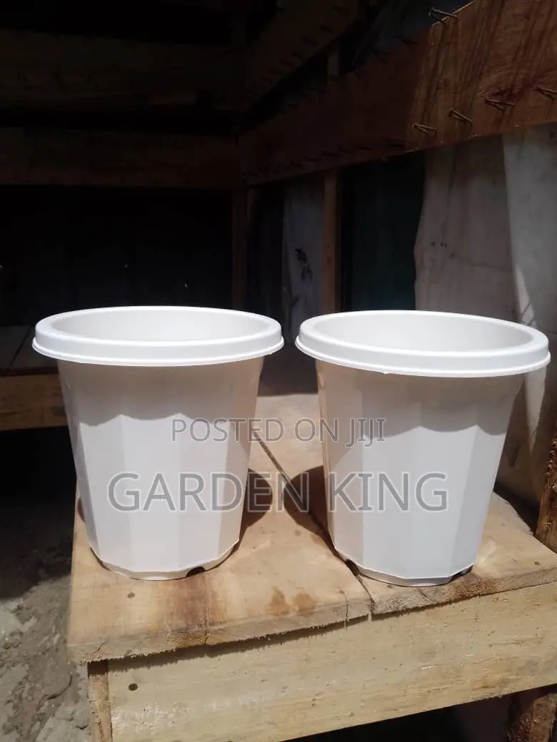 Flower Pots