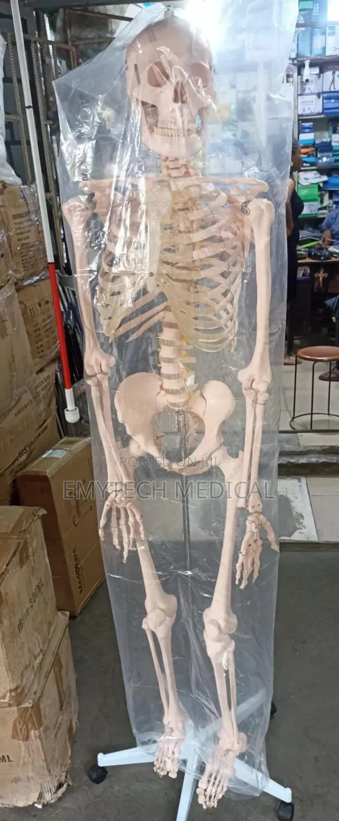 Artificial Skeleton System